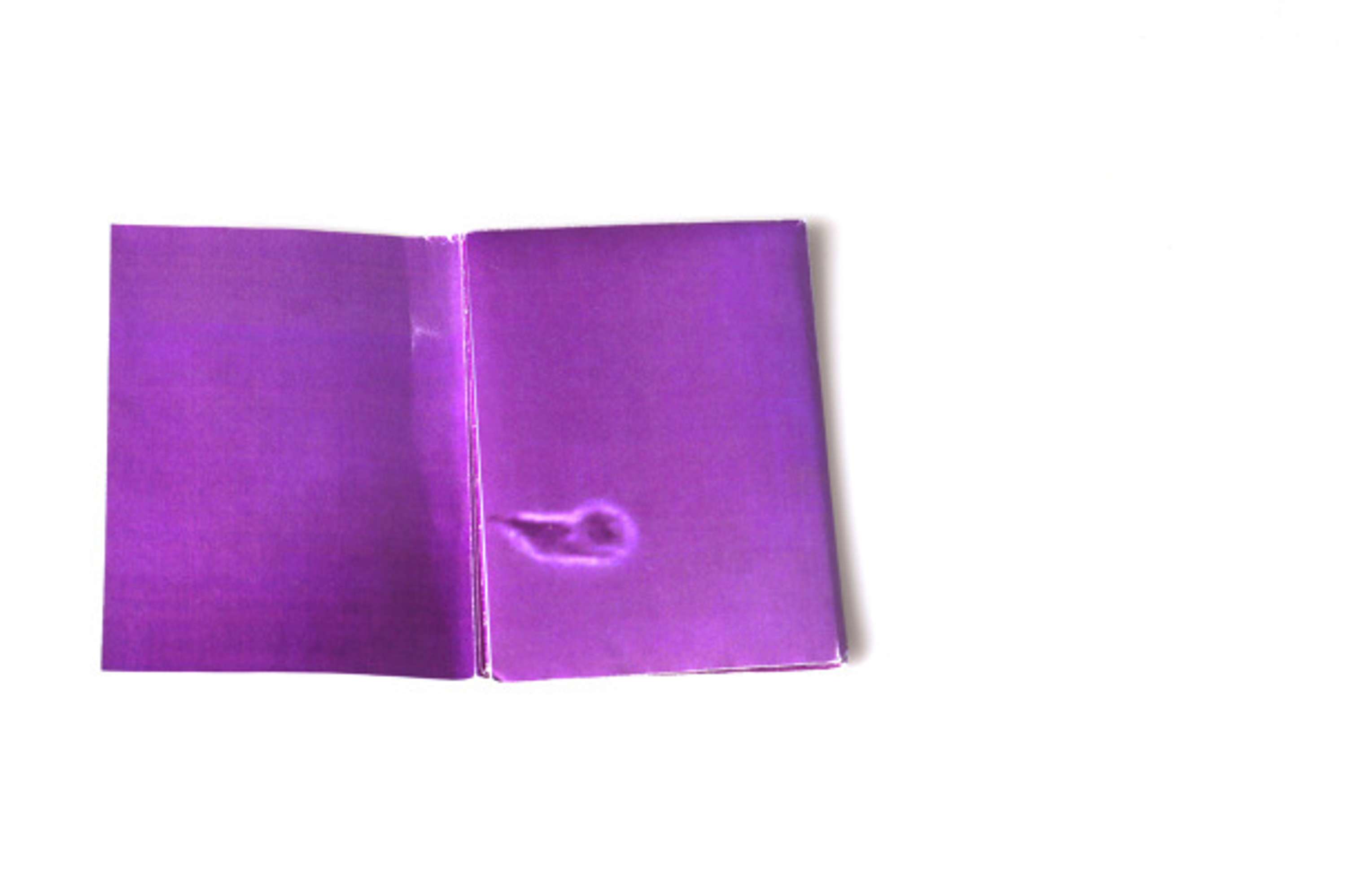 The Little Book of Germs by Isabella Ding