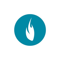 Burning Reel logo