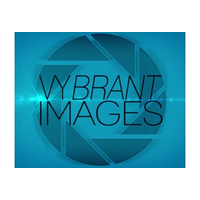 Vybrant Images logo