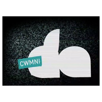 Cwmni Da Audio logo