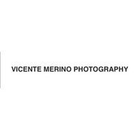 Vicente Merino logo