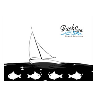 Black Sea Limited logo